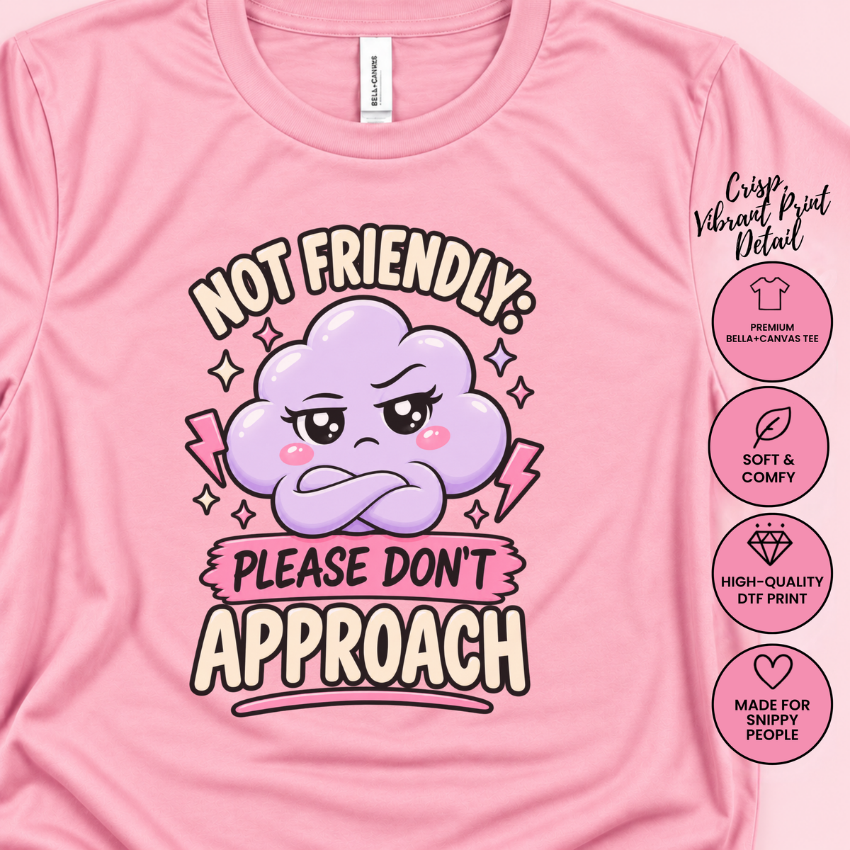 Not Friendly! Please Don't Approach